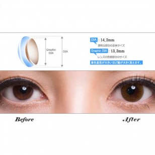 Someday Brown(月拋)